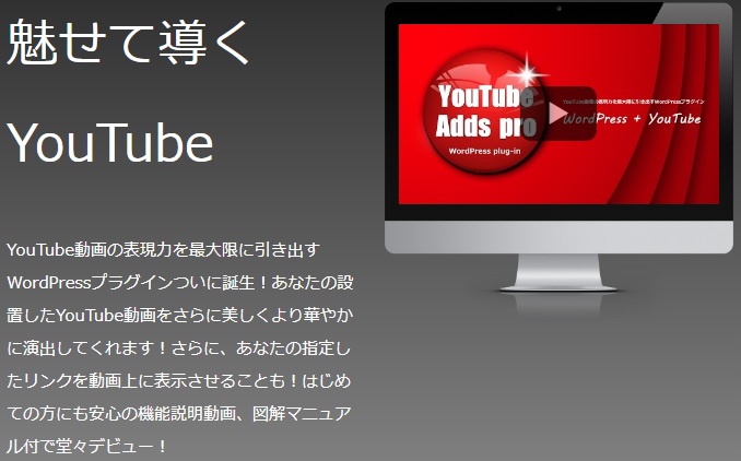 加藤洋 YouTube Adds pro