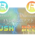 【RUSH】×【RUSH PLUS】　は稼げる？　新垣悠合同会社ライフデザイン